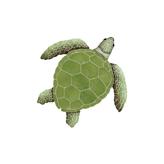 Master Tile Lggrhead Turtle Green 15-Inch X 15-Inch Tile Artistry In Mosaics - TLOGREM