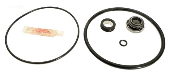 Aladdin Lbay Cyclone Pumps Repair Kit APCKIT52 - GO-KIT52