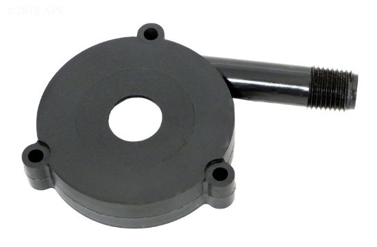 Little Giant Volute - 116375