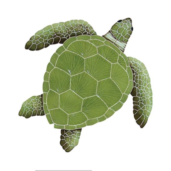 Master Tile Lggrhead Turtle Green 20-Inch X 20-Inch Tile Artistry In Mosaics - TLOGREL