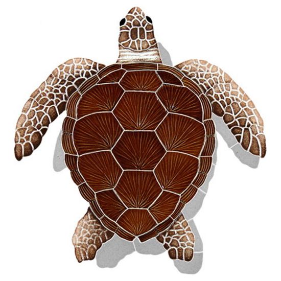Master Tile Lggrhead Turtle Brewn 16-Inch X 15-Inch W/ Shadow Tile Artistry In Mosaics - TLSBROM