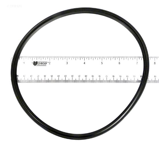 Paramount Leisure Industries Inc. O Ring For Canister - 005-152-0120-00