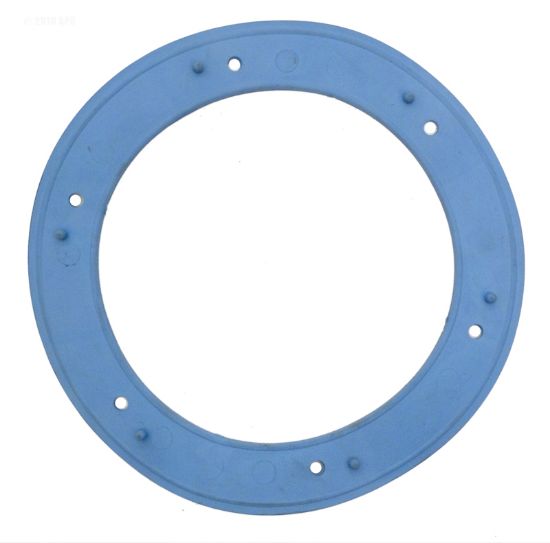 Pentair Liner Gasket - 05166-0001
