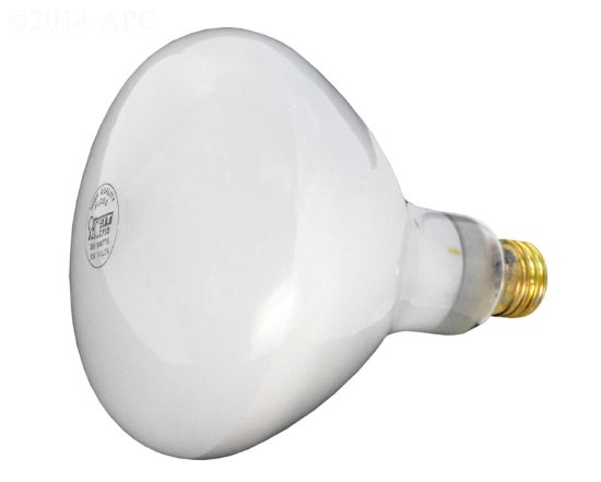 Carvin Light Bulb 120 V 300W Upl - 23494206R