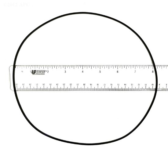 Ring Seal Little Giant - 928039