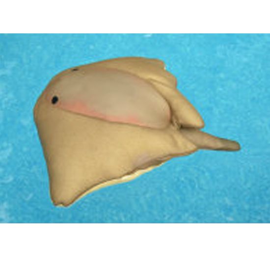 Main Access Llc Seaside Rider Cruz Sting Ray - 305592