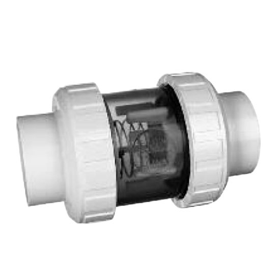 Praher Plastics Canada Ltd. Praher 2-Inch - 1/2# Check Valve Chemical Resistant - 202-CVC-050CR