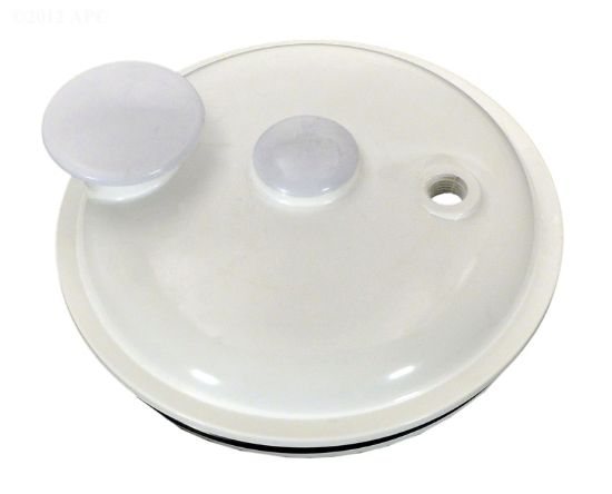 Pentair Lid Assembly Complete - R172385A
