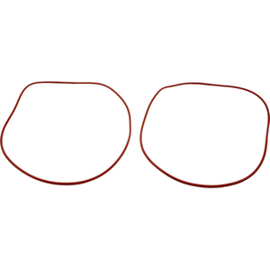 Raypak Gasket O-Ring, Set of 2, 006713F