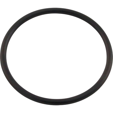 Pentair Genuine OEM Replacement Union O-Ring
