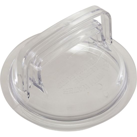 Pentair Flow Technologies Lid Strainer Swimming Pool Pum - 25062D000