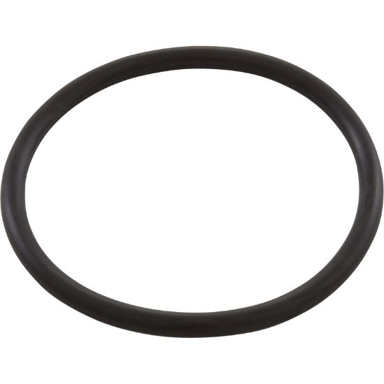 KIT O-RING 1-1/2IN UNION PKG 12