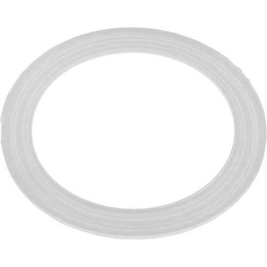 CMP Main Drain Gasket - 25215-000-004