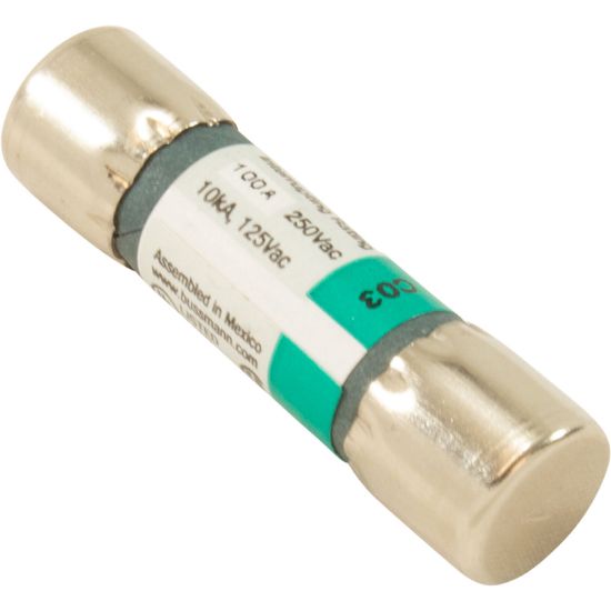 Coates Heater Co Inc Time Delay Fuse Supplementary 250 VAC/5 Amp - 29015052