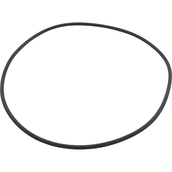 Speck Pumps O-RING For Lid 95 - 2902041210