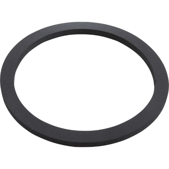 Waterco Usa Inc. Index Plate Gasket G166 - 31B0015