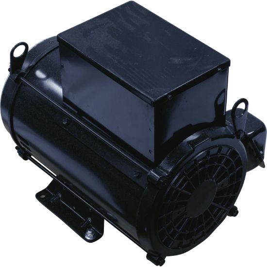 Pentair Motor 7.5 HP 230 V Eq Pump - 357066S