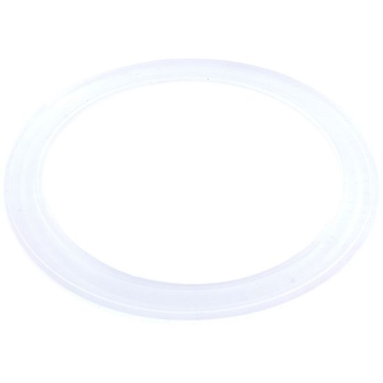 Balboa Water Group INC Wall Fitting Gasket For Balboa Barrel A/P Diverter Jet - 47224000