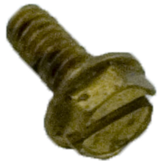 Pentair Slotted Hex Head Screw - 98207300