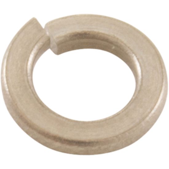 Pentair Lockwasher #10 S/S - 98213900