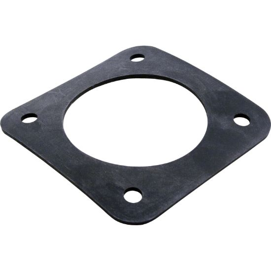 Pentair Gasket Trap Sta-Rite G99R - C20-123