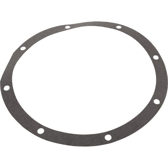 Pentair Gasket Volute - C20-87