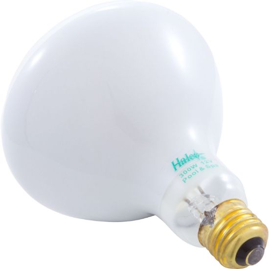 Zodiac Lamp 300W 12V Pool Jandy - R0450503