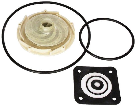 Pentair Ovrhl Kit-Pe Pr P2R W/ - PP1011
