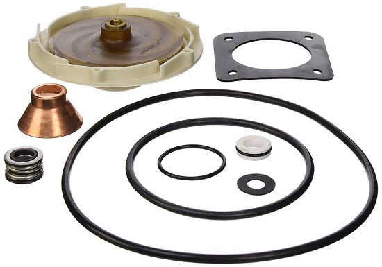 Pentair Ovrhl Kit-Pe Pr P2R W/ - PP1012