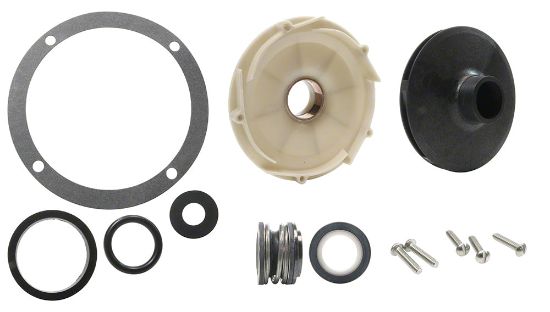 Pentair Kit Ovrhaul Al Al W/J105 - PP1564