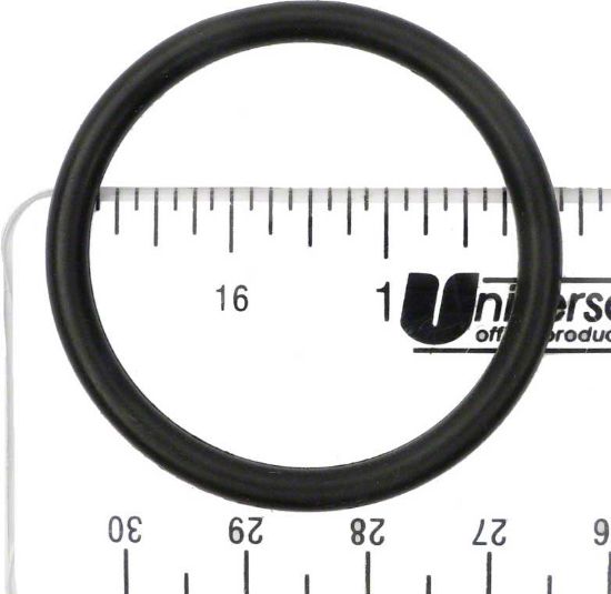 Pentair O-Ring Shaft Starite O113 - U9-376