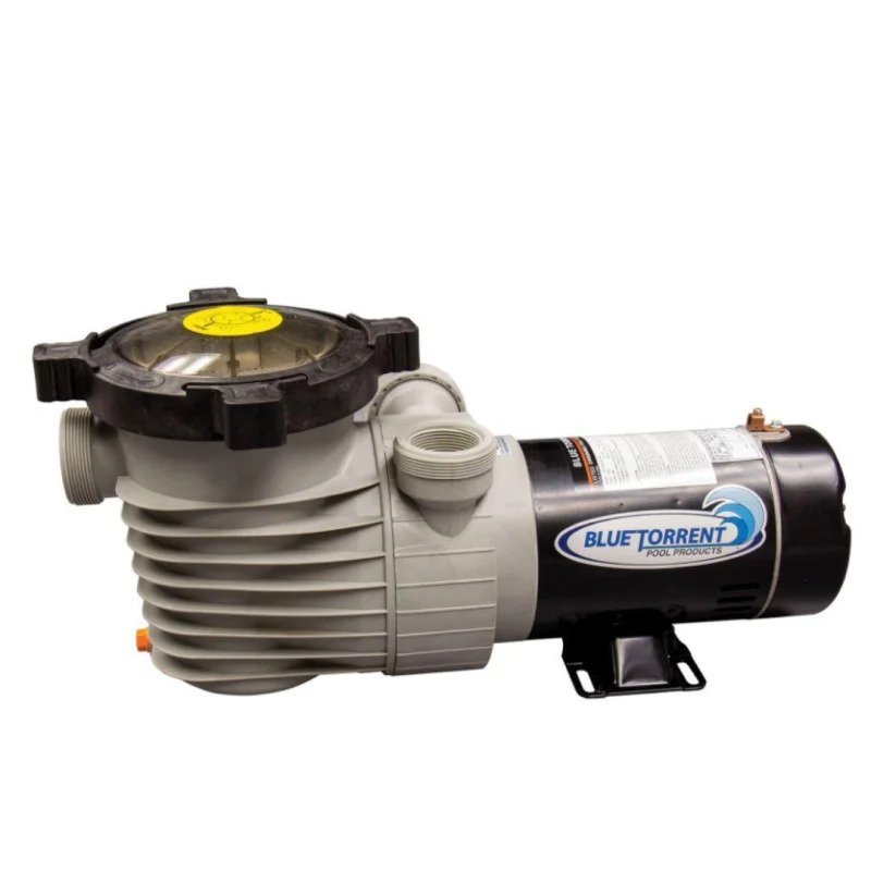 1.5 HP Hurricane Dual Port Pool Pump