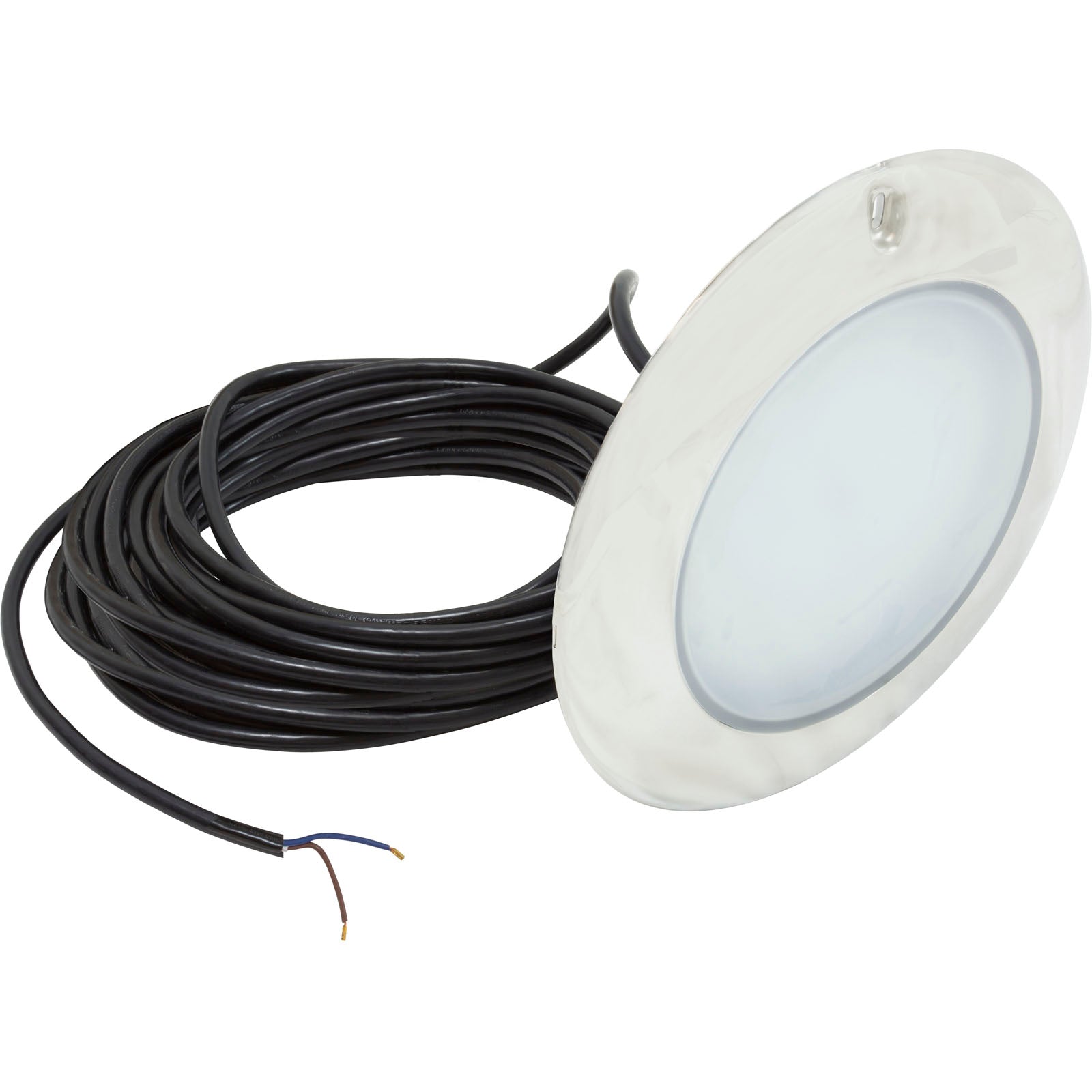PAL 2Wire Lrg Nch Evenglow CW Pool Lt, 80ft, 12VAC/12VDC/24VDC