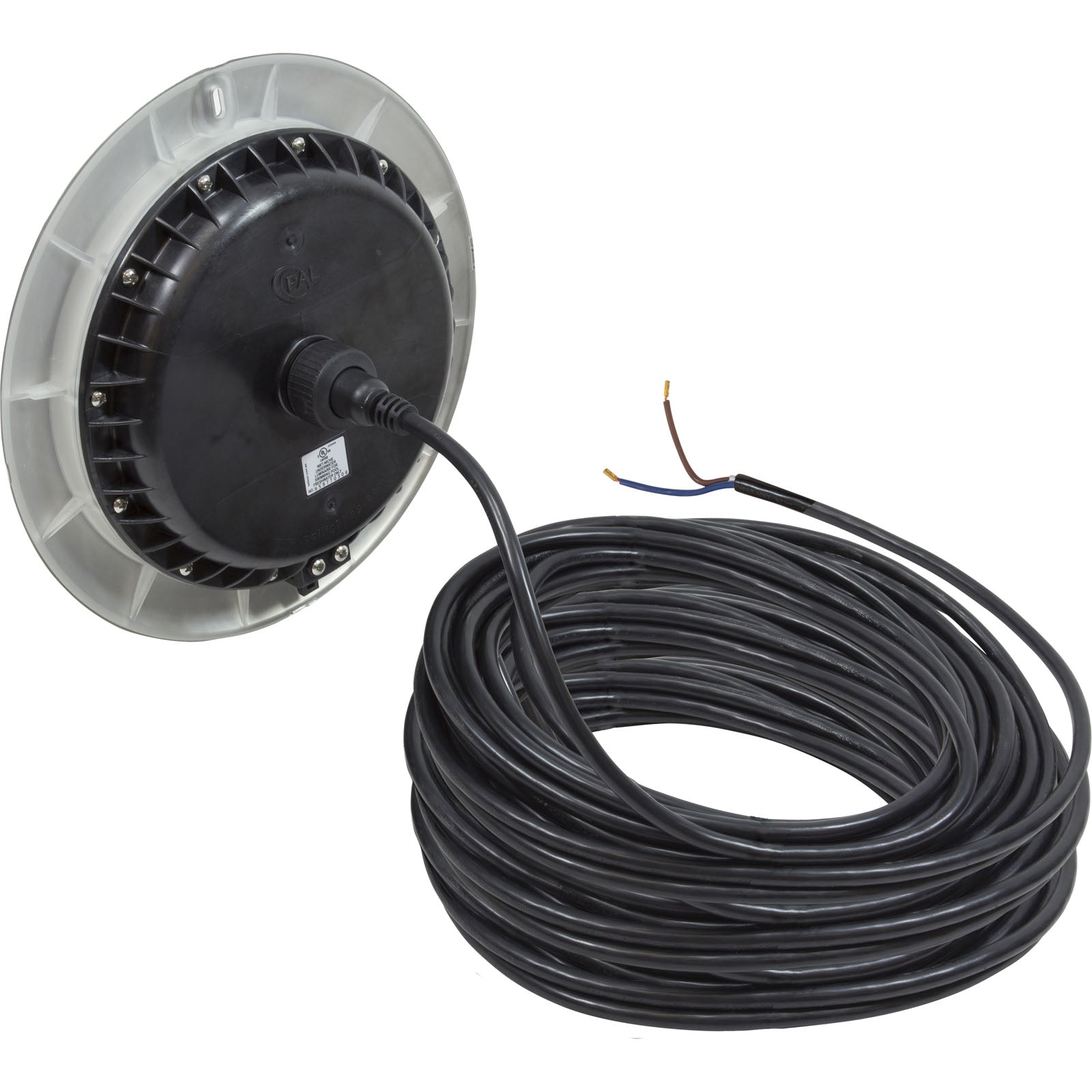 PAL EvenGlow Lrg Niche Lt, Cool White, 12v ac/dc, 150ft, SS Esc