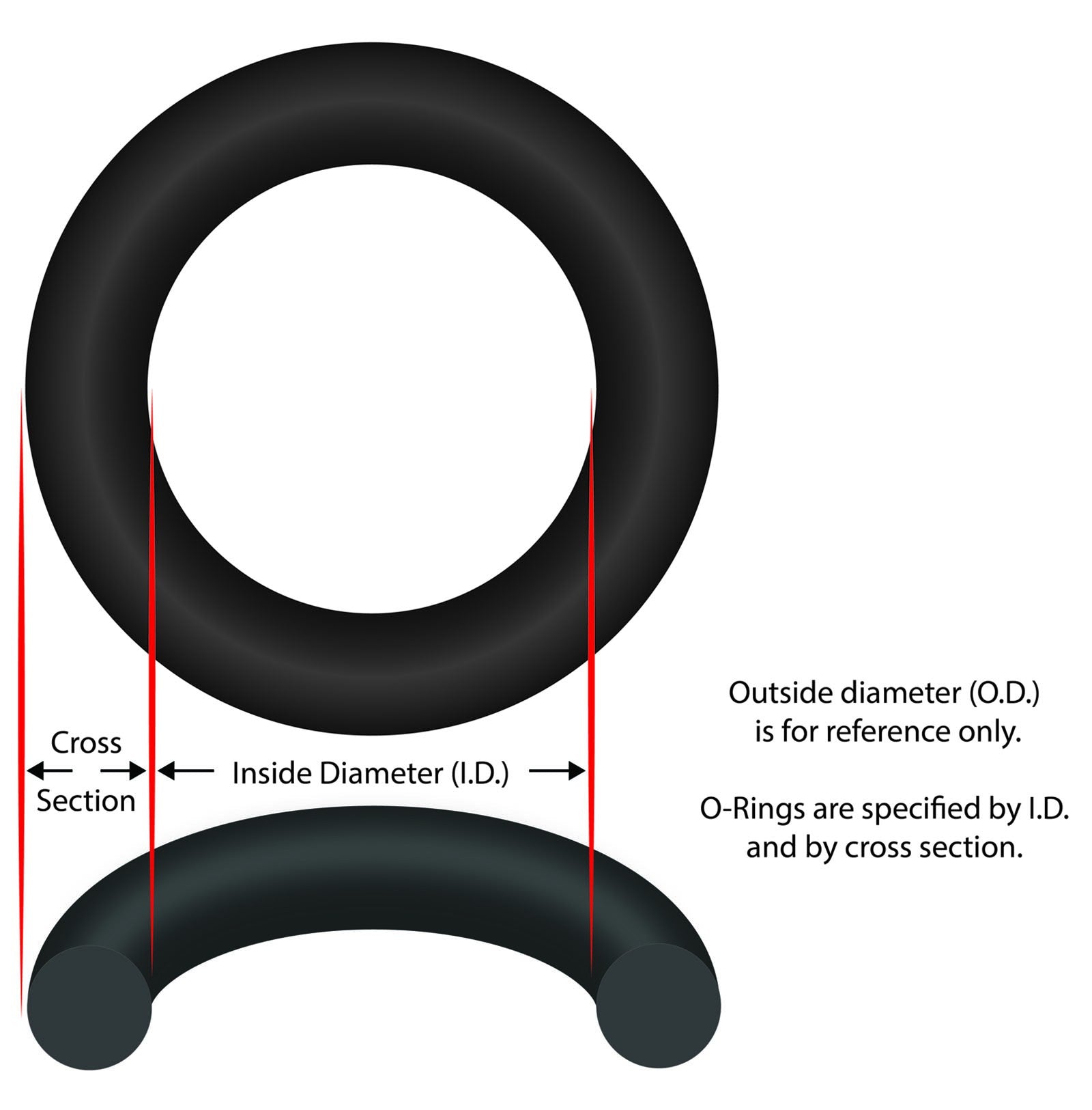 O-Ring, AquaPro AL75, For Clamp Ring : 10084-ACC
