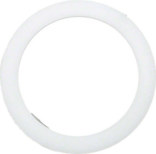 Pentair 3" x 2 3/8" FNS Polyethylene Washer, 195004Z