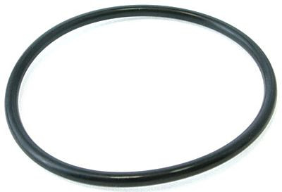 Pentair Plus Stand Pipe O-Ring, 59000600Z