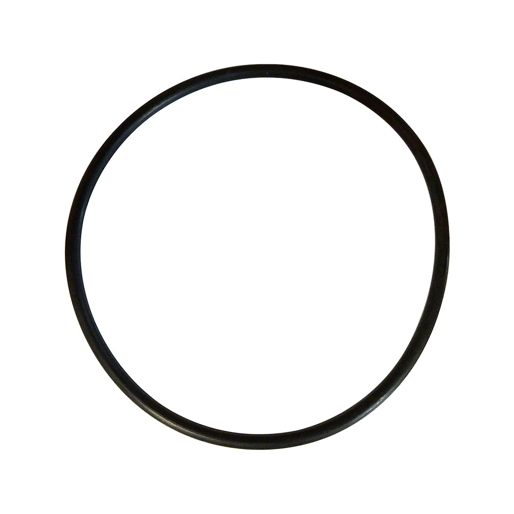 Astral Pump Lid O-Ring