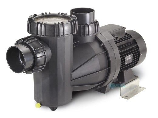 Speck Pumps 95-X Single Speed Pool Pump, 7.5 HP 3 Phase, IG273-1750F-000