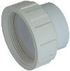 Pump Union 1 1/2 In Straight 21021-000-000 21021-000-000-Q