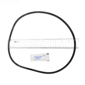 Pentair 1" Posi-Clear Tank O-Ring for PXC Series Filter Systems, 25230-0010S