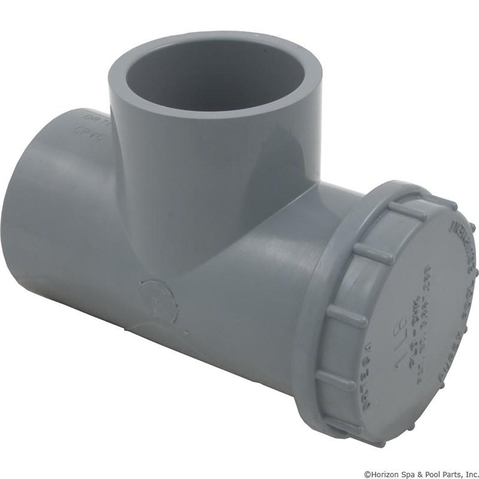 Spring Check Valve, Pentair Ortega, 1lb, 1-1/2"