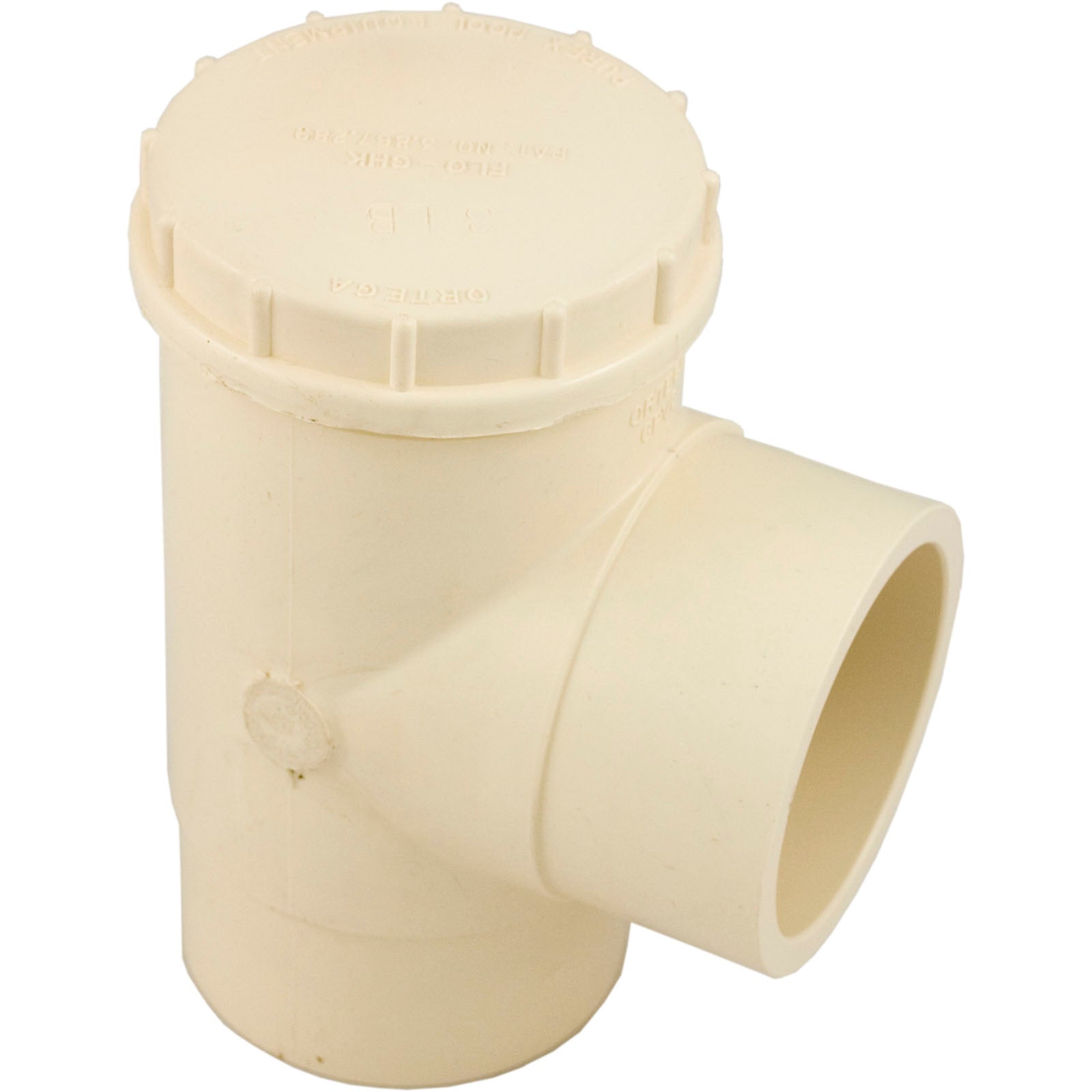 Spring Check Valve, Pentair Ortega, 3lb, 2"