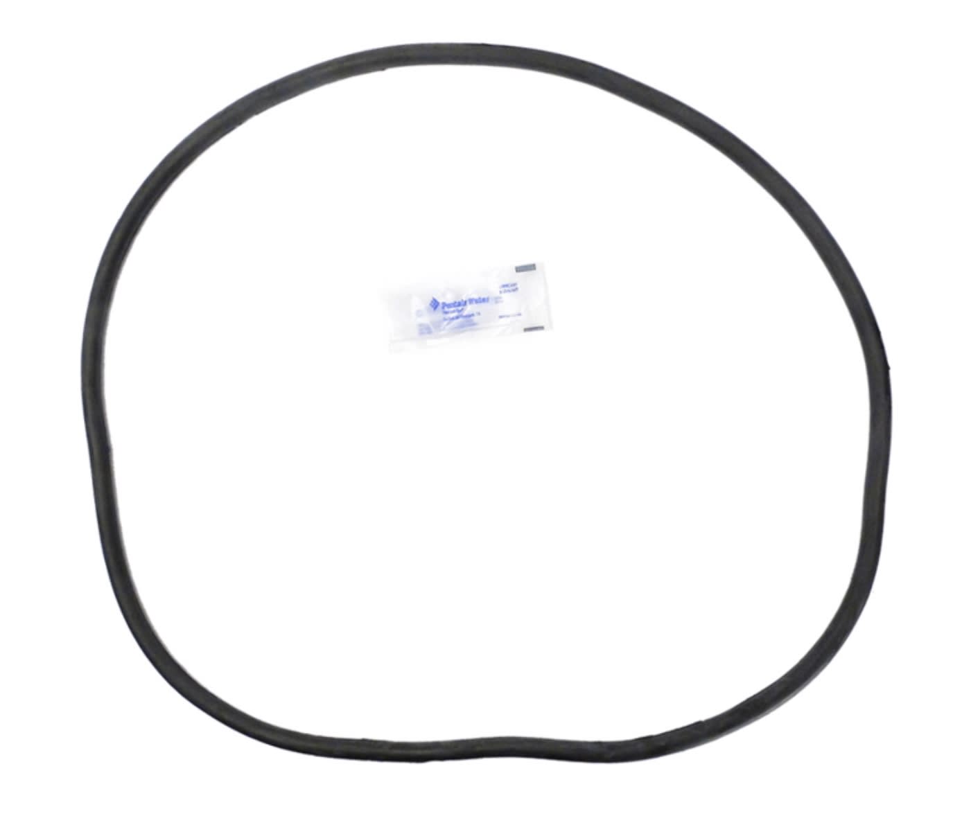 Sta-Rite Genuine OEM O-Ring For Tank After 2/97
