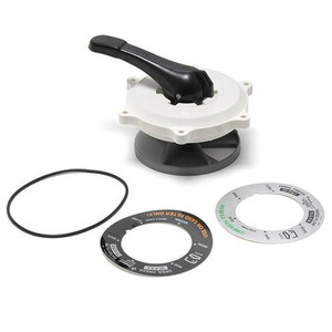 Pentair 1.5" Top Valve Assembly, 270068