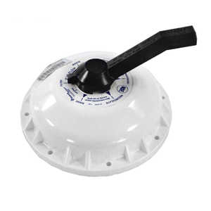 Pentair 2" High Flow Valve Lid Assembly, 272422