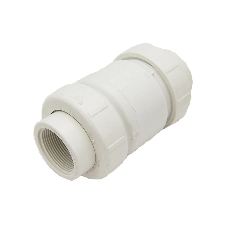 3" PVC True Union Swing Check Valve - Threaded (S1720-30F)