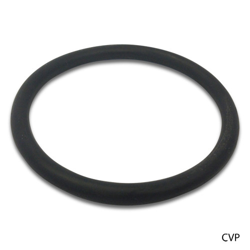 JANDY NEVERLUBE OEM Oring #2-154 COVER | R0465700