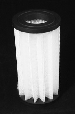 JANDY ENERGY FILTER ELEMENT KIT Ray Vac Pool Energy Filter Element | R0374600