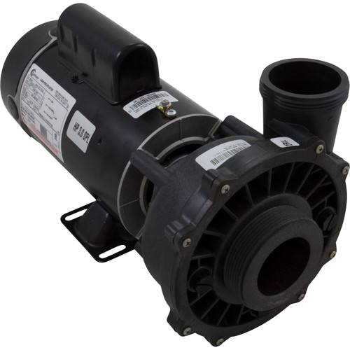 Pump WW Exec 3.0SPL Century 230v 2-Spd 48fr 2-1/2"x2" 3421221-13HZW
